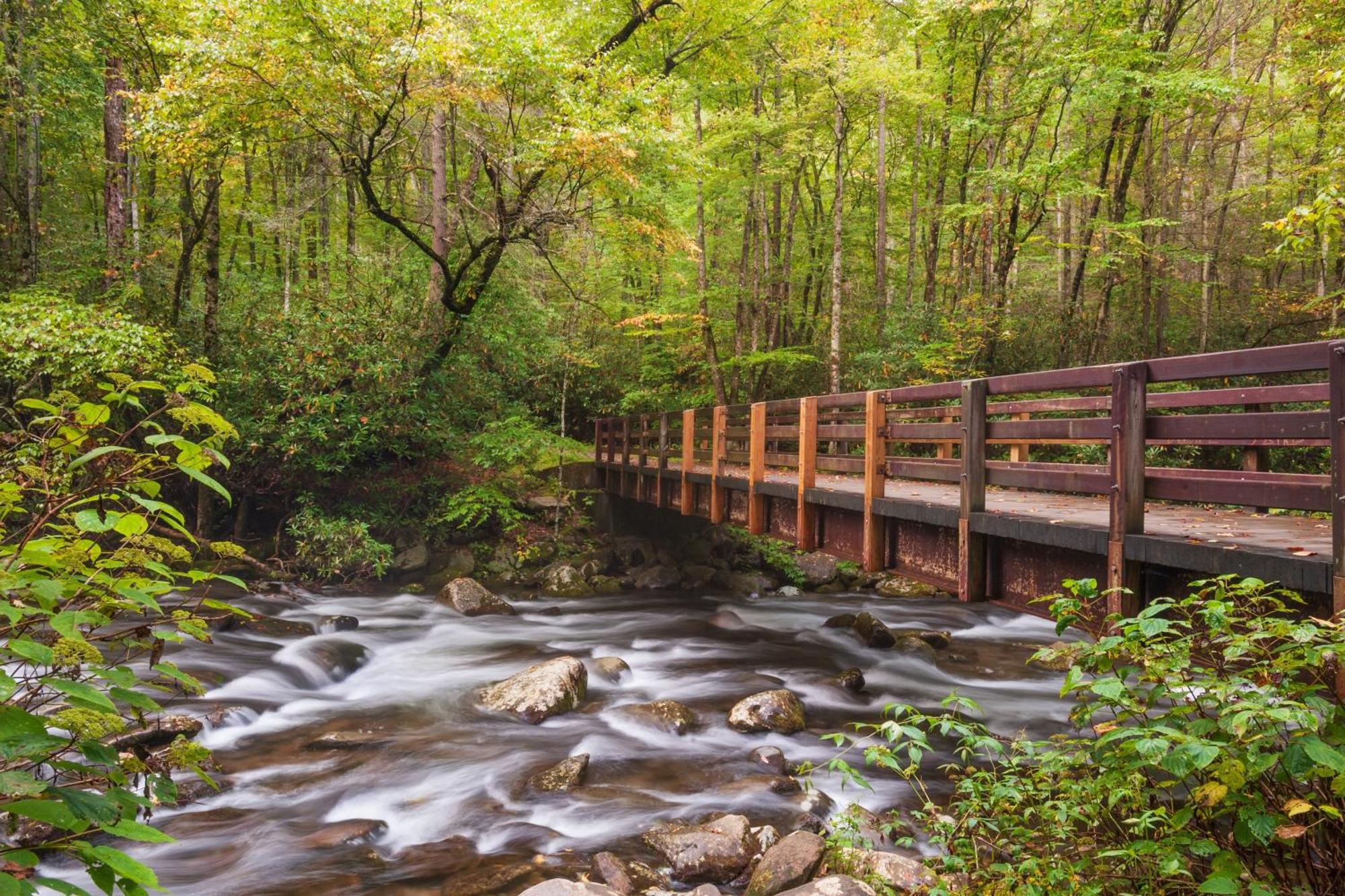Mountain Eden, Hot Tub, Resort Pool, Wifi, 1089 Free Tickets Each Paid Day, Dollywood And More Гетлинбург Екстериор снимка